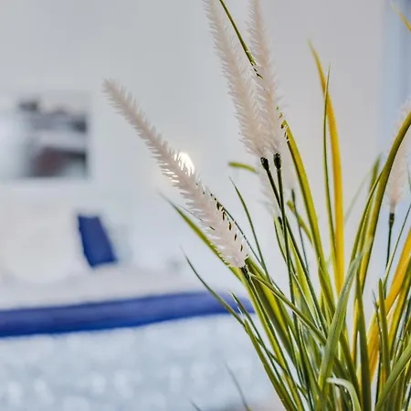 Estudio Verode Apartamento Arona (Tenerife)